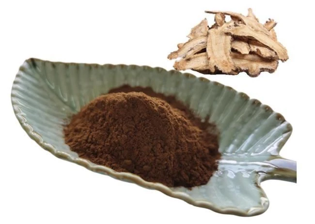 Dong Quai Extract Angelica Root Extract Angelica Sinensis Powder