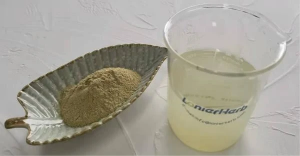Water Soluble Green Coffee Bean Extract Chlorogenic Acid Powder