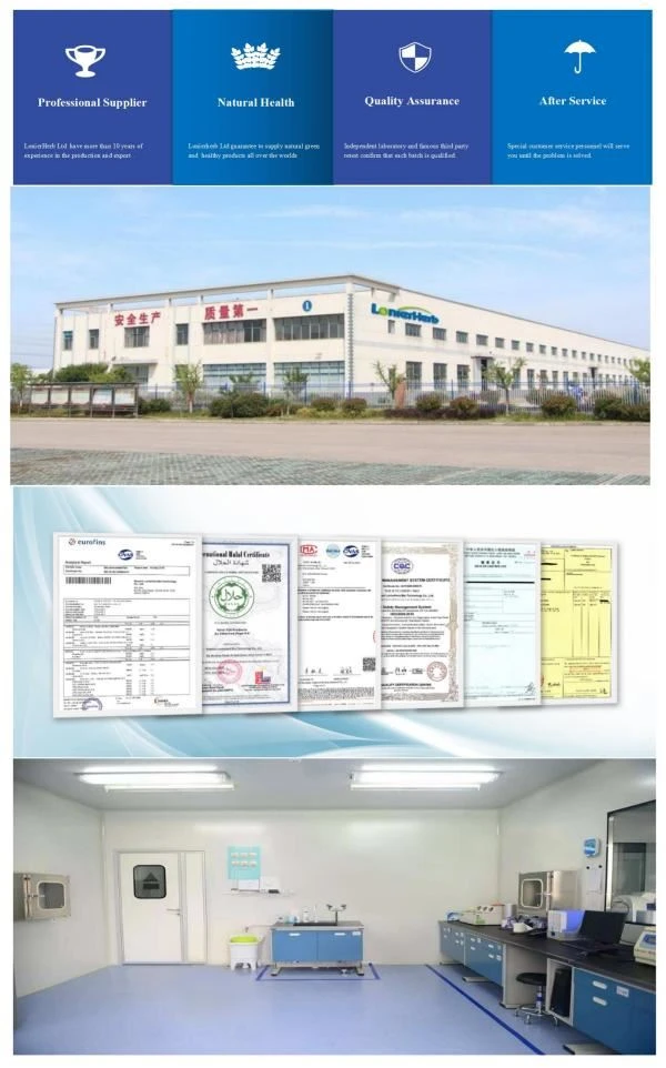 Manufacturer of Diosgenin,Wild Yam Extract Powder, Yam Root Extract
