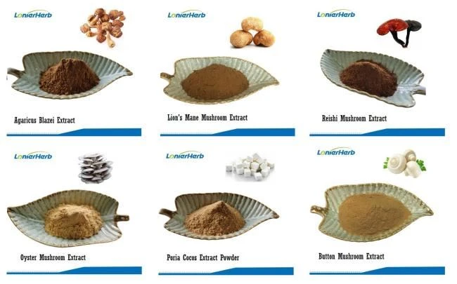 LonierHerb Mushroom Extract Powder