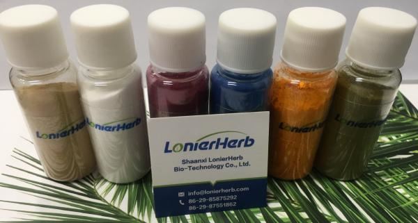 Plant Extract Manufacturer