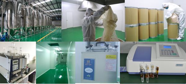 D Alpha Tocopheryl Succinate Powder (3)