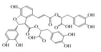 Salvianolic Acid b