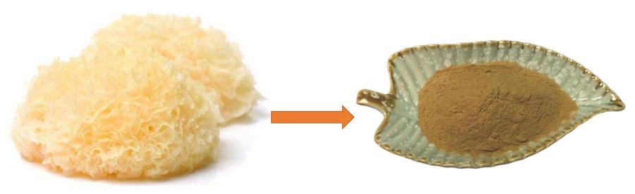 Tremella Fuciformis Extract