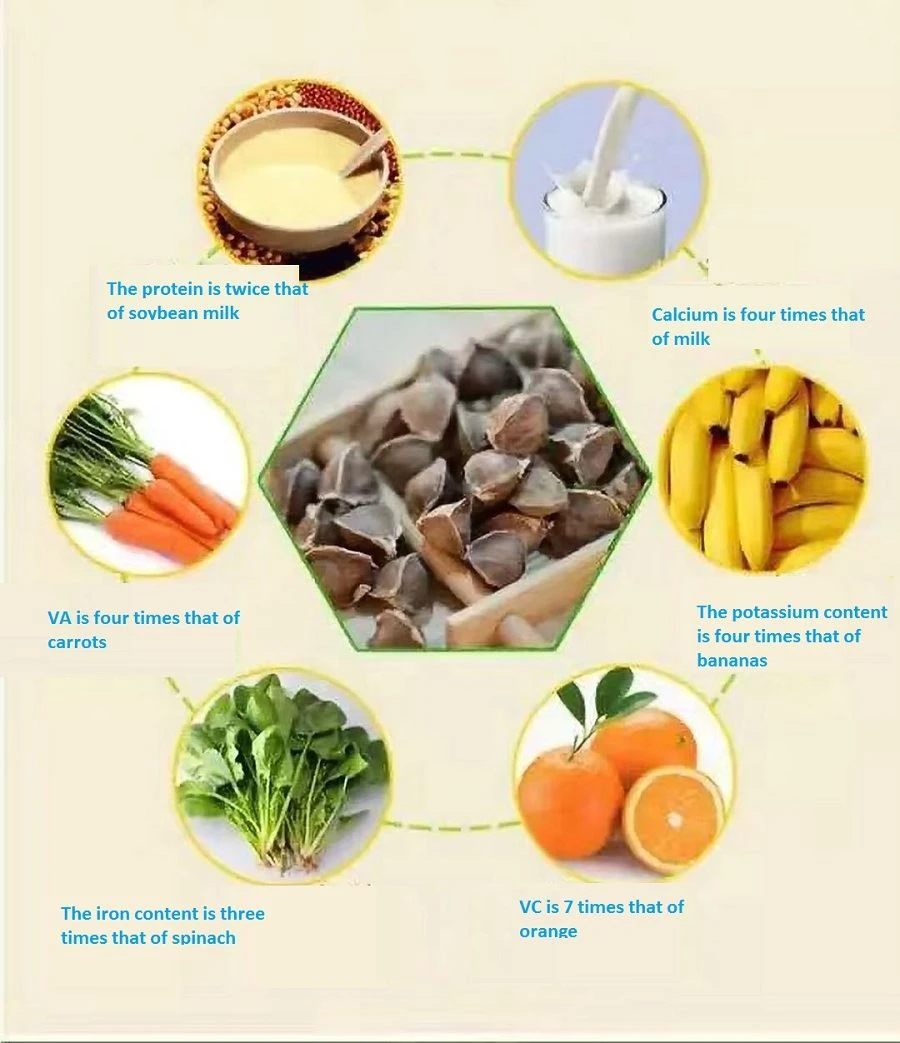 Moringa Seed Powder (2)