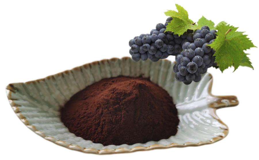 5% Resveratrol, Grape Skin Extract