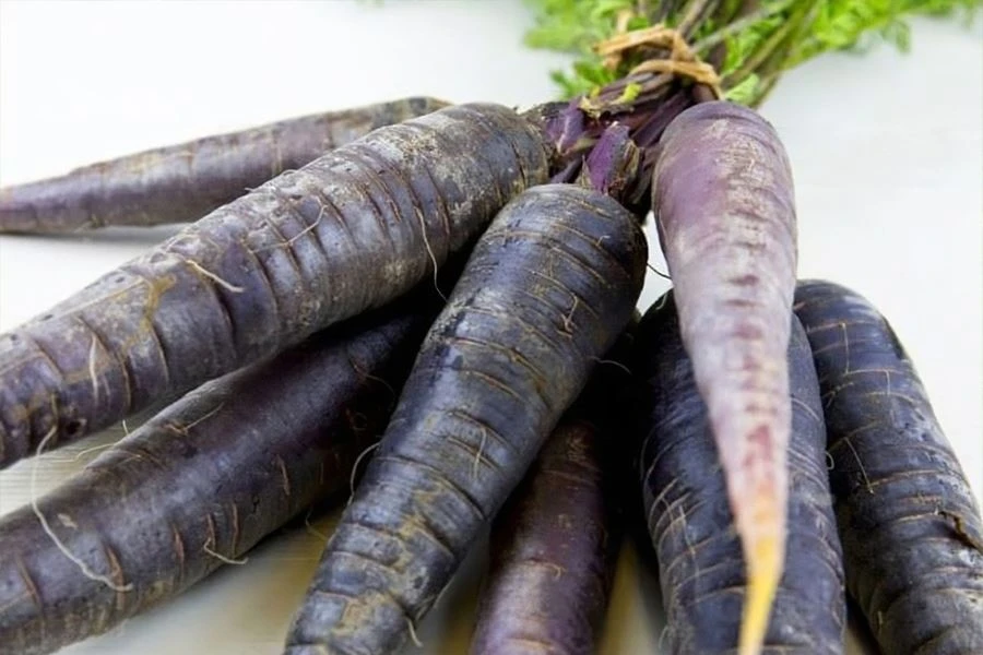 Black carrot powder 1