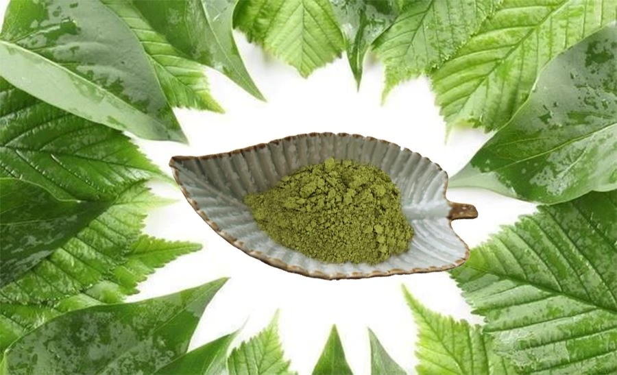 Mulberry Leaf Powder-1