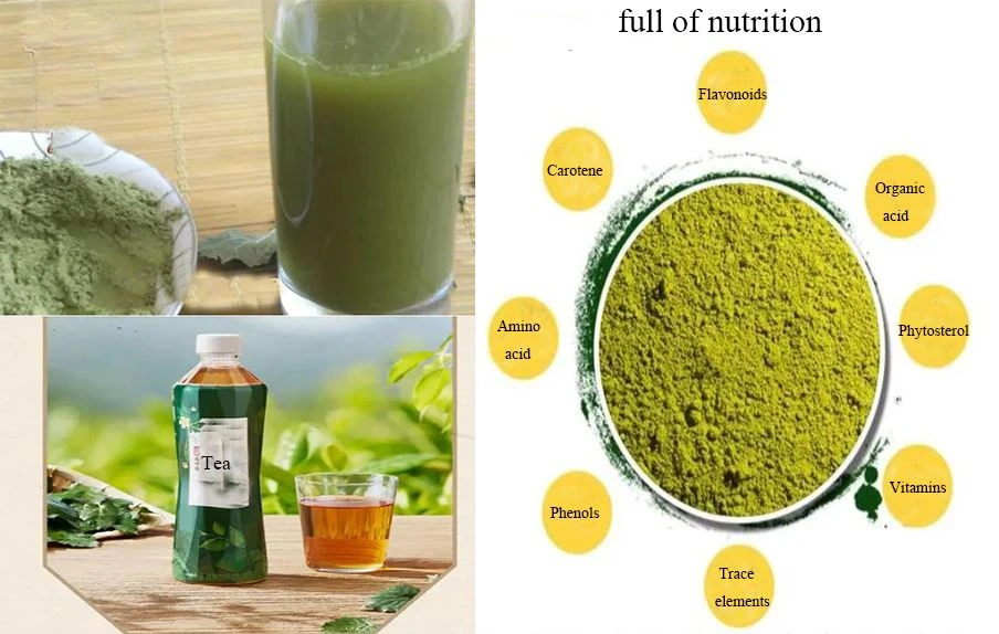 Mulberry Leaf Powder-4