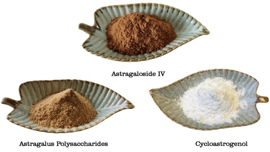 Astragalus Root Extract, Radix Astragali Extract