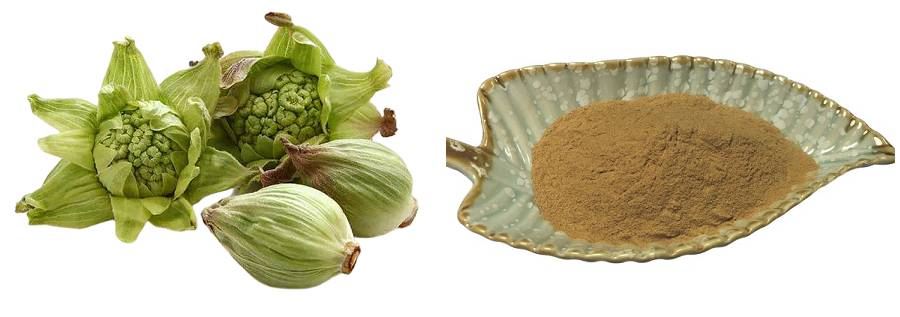butterbur extract (2)