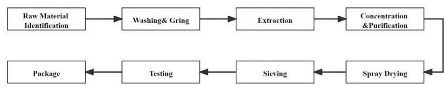 Butterbur Extract flow chat