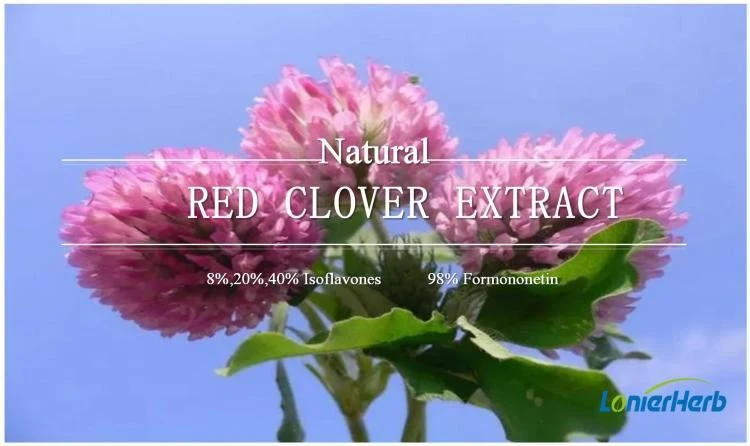 Red Clover Extract