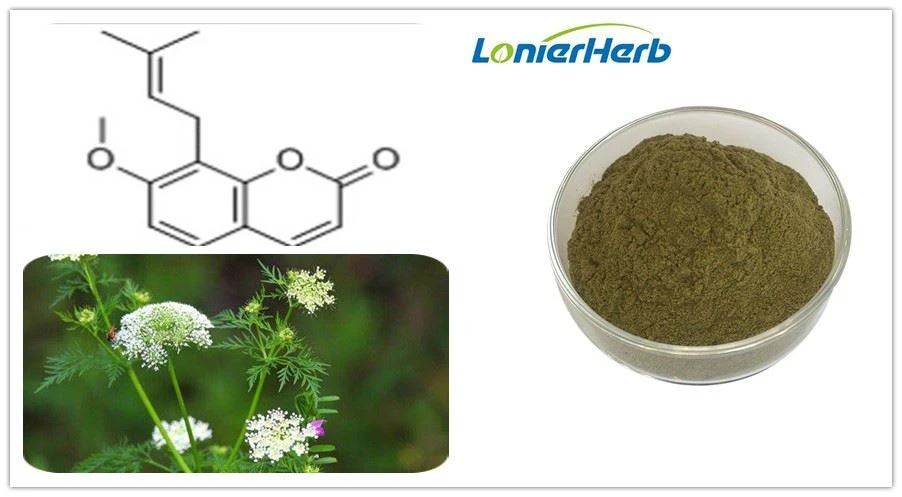 osthole herb Supplier