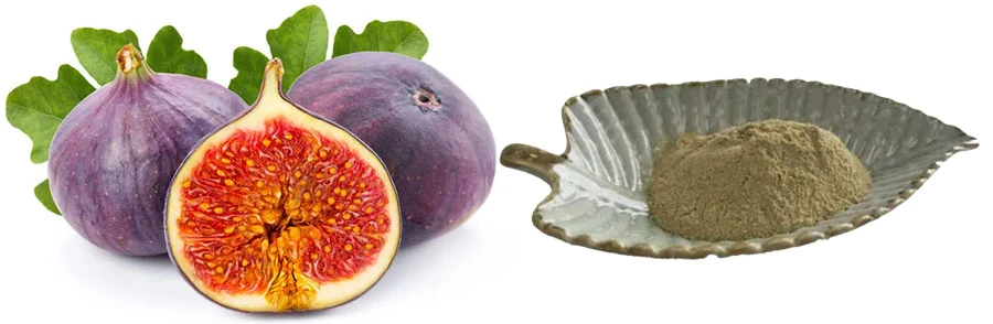 natural Fig Fruit Powder natural Fig Fruit Powder