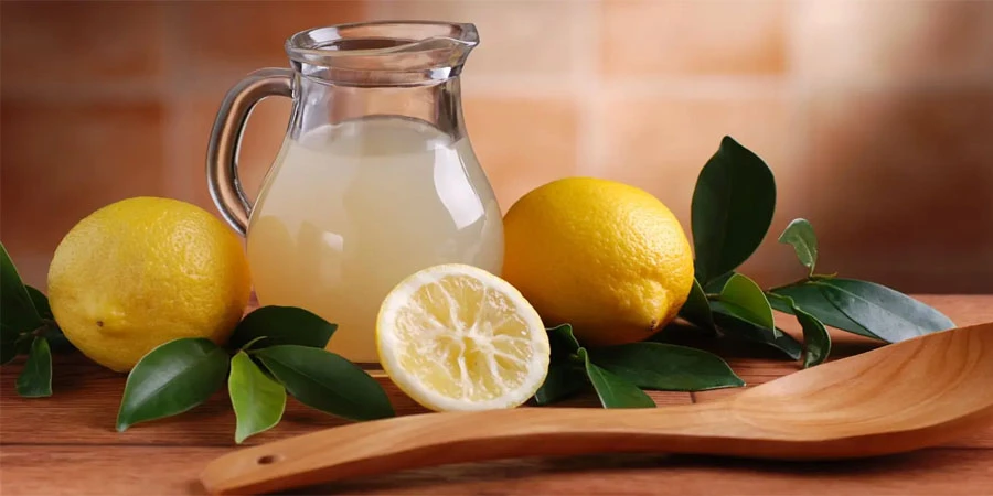 Lemon Fruit Powder manufacturers