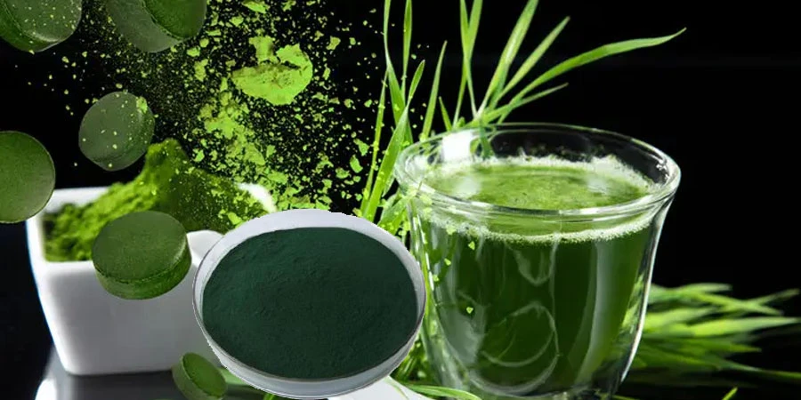 chlorella vulgaris powder price