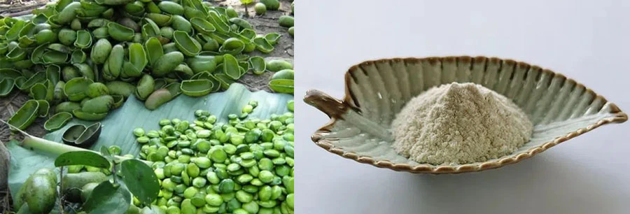 Wholesale 5-HTP 98%