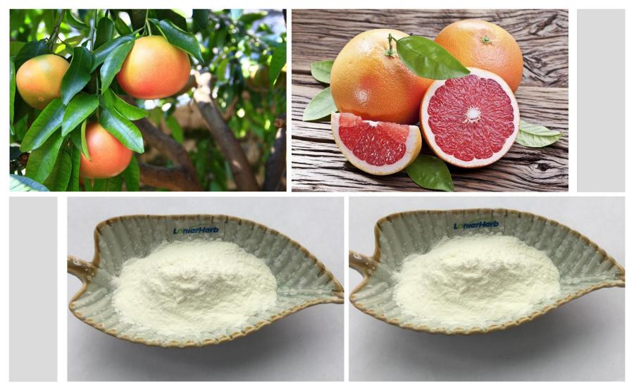 Naringin 98%, Naringin Powder
