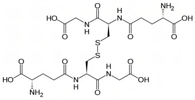 Oxidized Glutathione