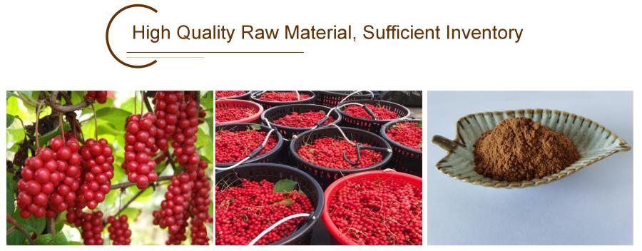 Schisandra Extract, 2.0% Schisandrins