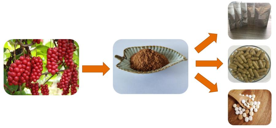schisandra Chinensis Extract