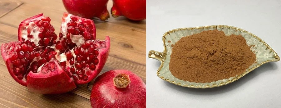 Pomegranate Extract Ellagic Acid