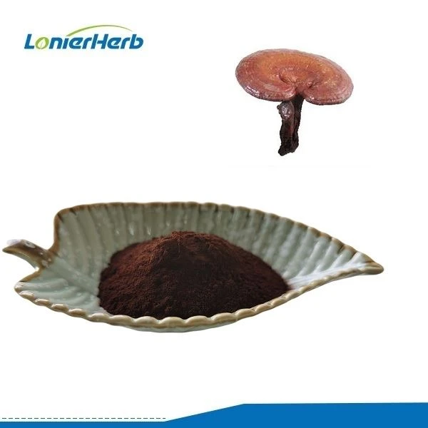 Pulbere de spori de Ganoderma Lucidum spartă