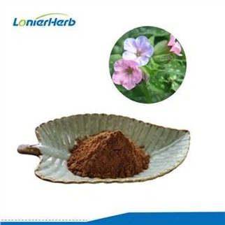 Pulbere de extract de Lungwort