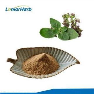 Pudră de extract de oregano