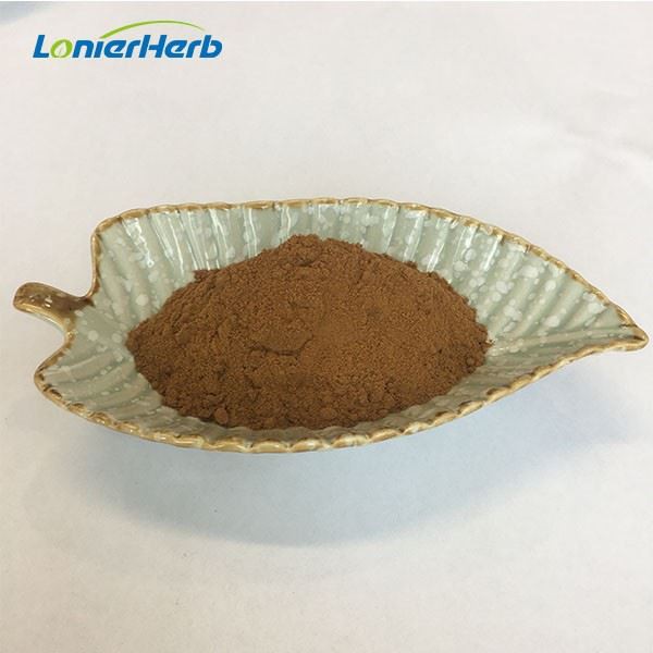 Hericium Erinaceus Mushroom Extract