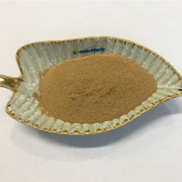 Sang-Hwang Mushroom Extract