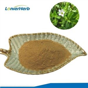 Bacopa 50% Bacoside