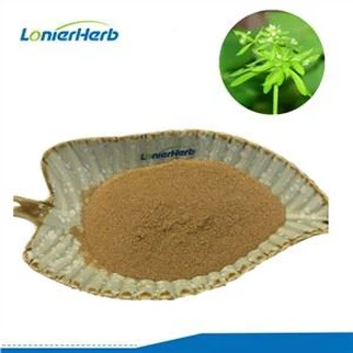 Extract de plante medicinale Cleavers