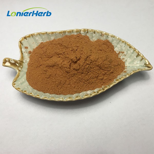 Ginkgo Biloba Extract Powder