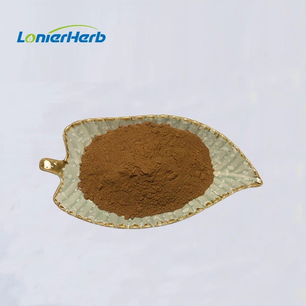 Rosemary Extract Powder Rosemary Extract Powder