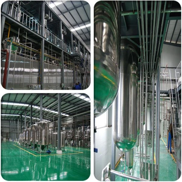 Black Carrot Powder factory