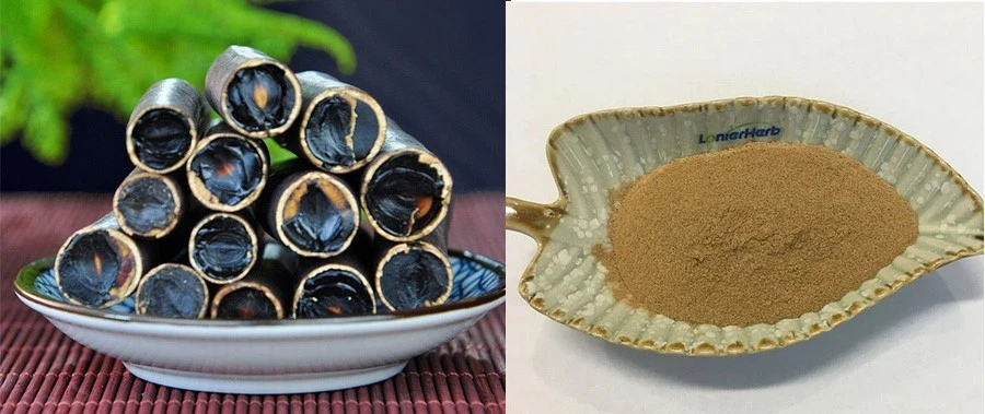 Cassia Fistula Extract price Cassia Fistula Extract price
