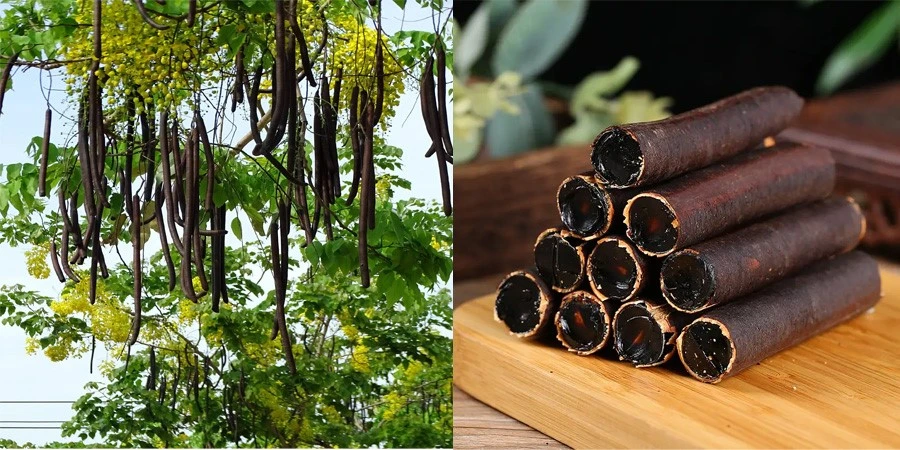 Cassia Fistula Extract manufacturers Cassia Fistula Extract manufacturers