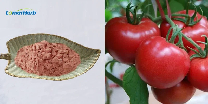Tomato powder Tomato powder
