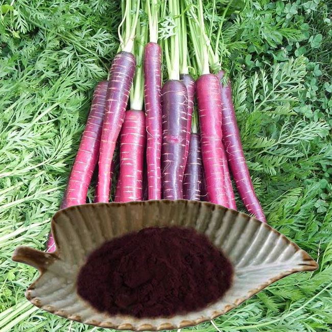Instant Black Carrot Juice Powder