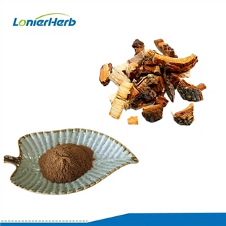 Extract de scoarță de ulm din papuc